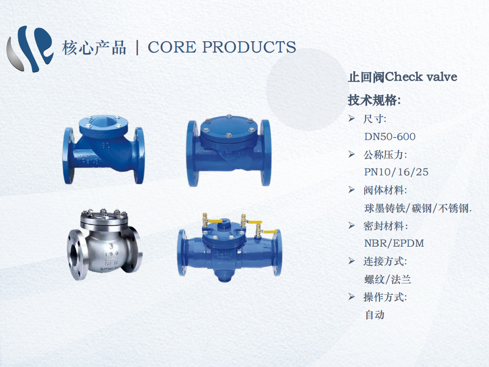 止回阀Check valve(图1)